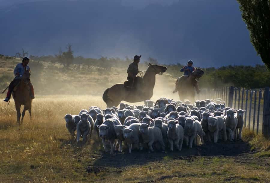 El Calafate: Nibepo Aike Ranch with Horseback Riding - Is the seven-hour schedule good value?