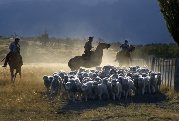 El Calafate: Nibepo Aike Ranch with Horseback Riding - Who will enjoy Nibepo Aike most?