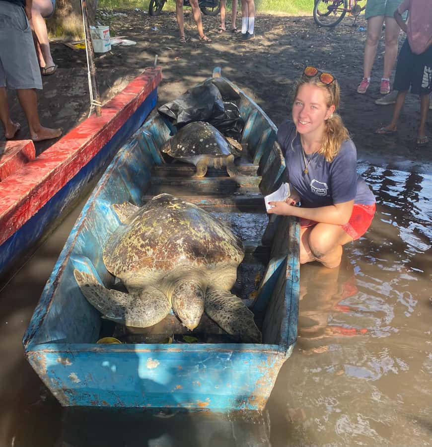 El Paredón: Sea Turtle and Salt Farm Tour - Rules that protect the setting