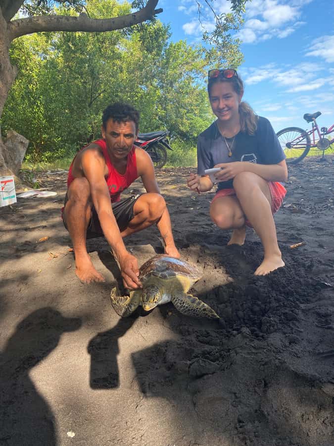 El Paredón: Sea Turtle and Salt Farm Tour - Meeting Neri or Santos at the port