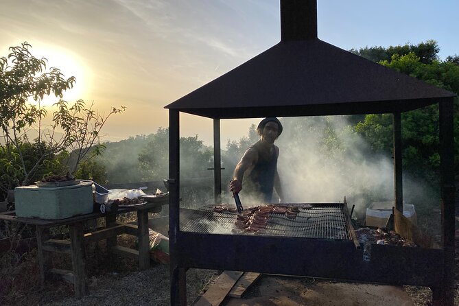 Elba Island Farmhouse tasting experience - Why the hilltop approach matters