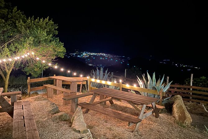 Elba Island Farmhouse tasting experience - Booking timing and what the price tells you