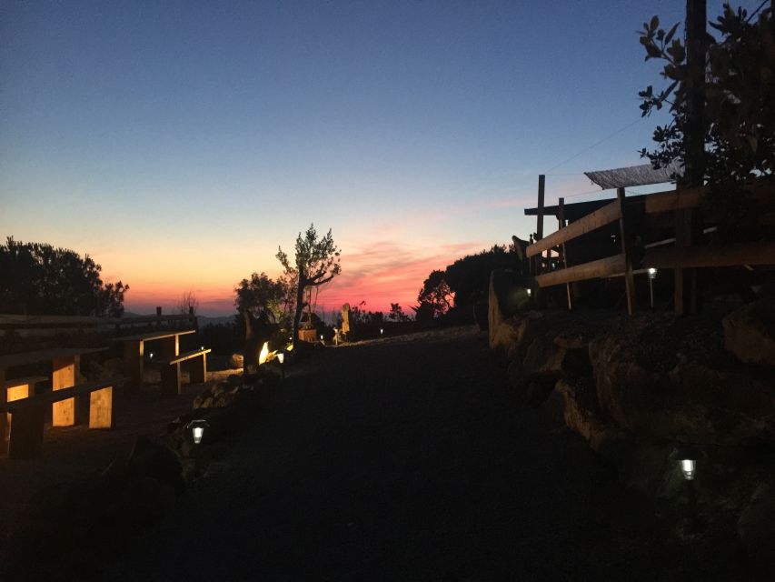 Elba: Tuscan Farmhouse Tasting - Should you book the Tuscan Farmhouse Tasting?