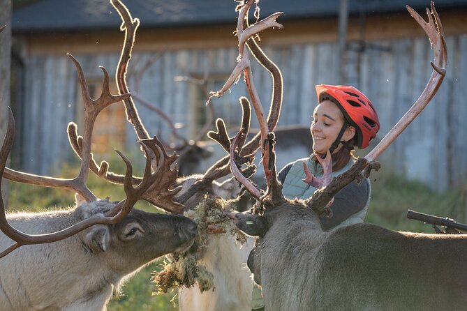 Electric Fatbike Trip to the Reindeer Farm - Why this ride is different from a standard farm visit