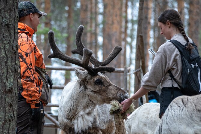 Electric Fatbike Trip to the Reindeer Farm - The 8:30 departure from Rovaniemi