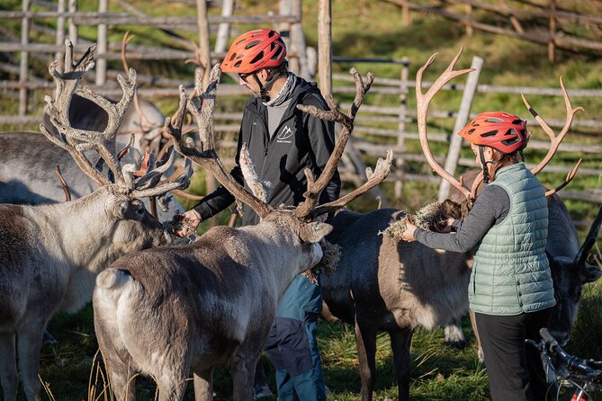 Electric Fatbike Trip to the Reindeer Farm - Reaching the reindeer farm through the forest