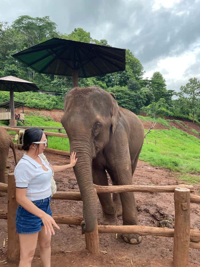 Elefin Farm & Cafe Half-day tour with Private Car - Key points to know before booking