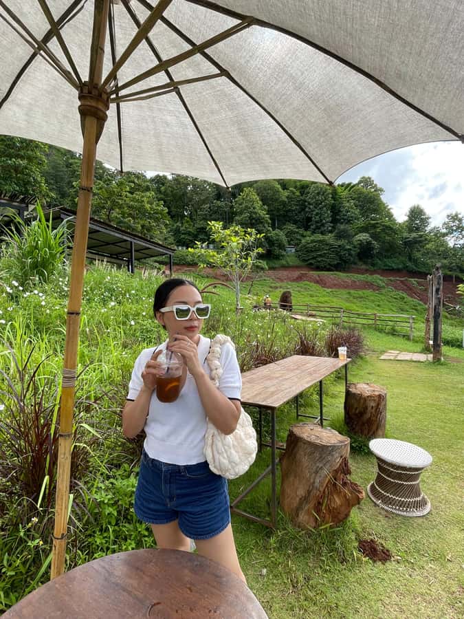 Elefin Farm & Cafe Half-day tour with Private Car - How the five-hour schedule works in practice