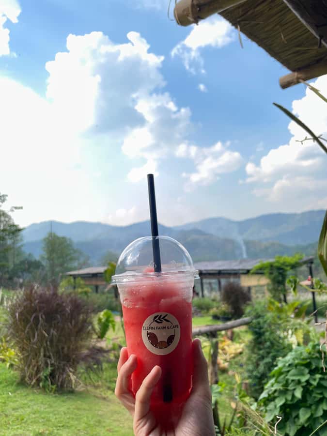 Elefin Farm & Cafe Half-day tour with Private Car - The driver service and what you should expect