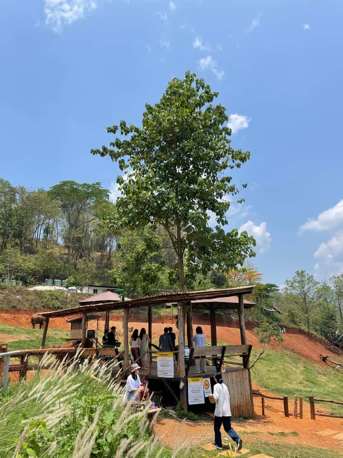 Elefin Farm & Cafe Half-day tour with Private Car - Price, group size, and what is not included
