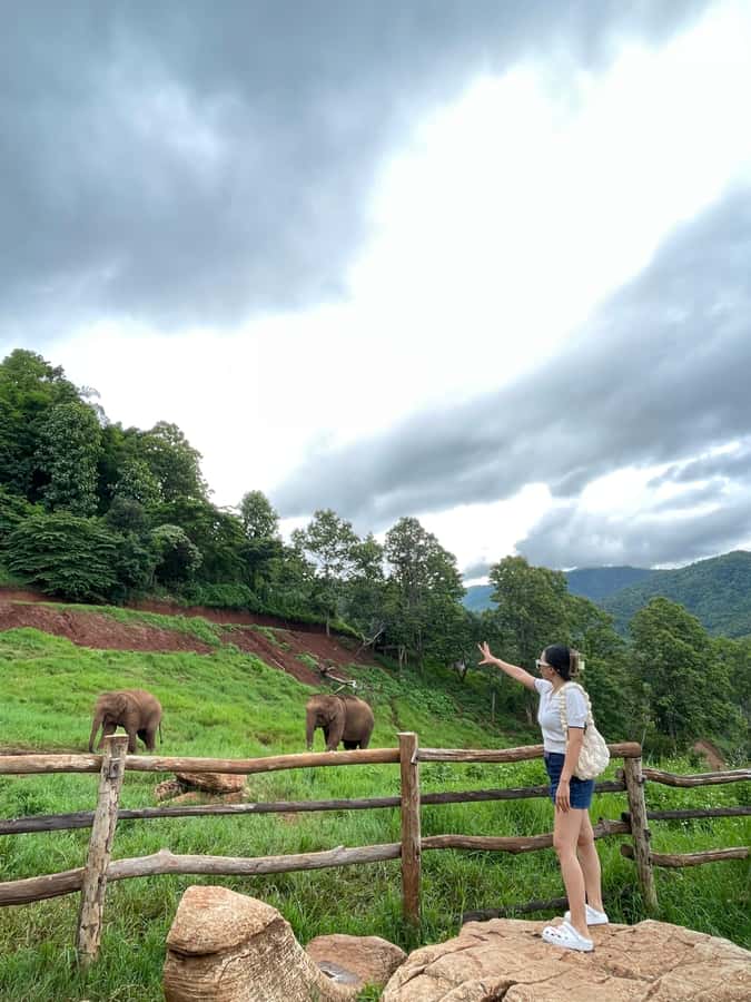 Elefin Farm & Cafe Half-day tour with Private Car - Who will enjoy this private half-day