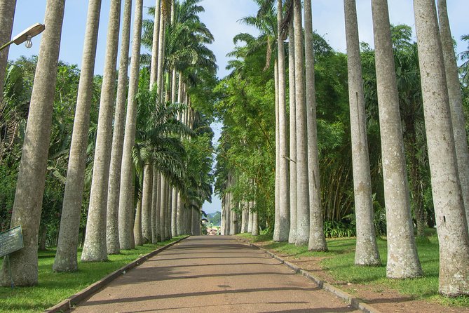Escape Accra City to Aburi Gardens and Tetteh Quarshie Cocoa Farms - Key points to know