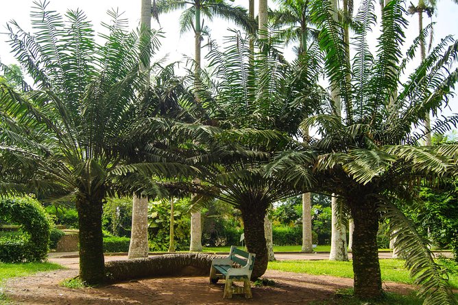 Escape Accra City to Aburi Gardens and Tetteh Quarshie Cocoa Farms - How the private format affects the day