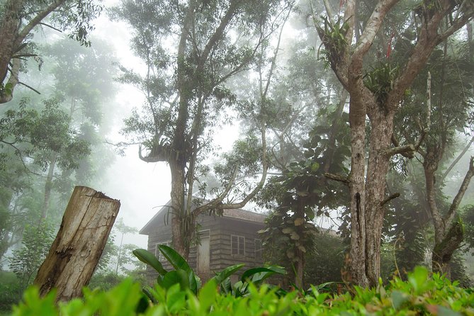 Escape Accra City to Aburi Gardens and Tetteh Quarshie Cocoa Farms - Who will get the most from this outing