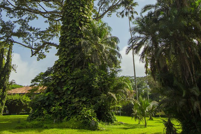Escape Accra City to Aburi Gardens and Tetteh Quarshie Cocoa Farms - Should you book this Accra day escape?