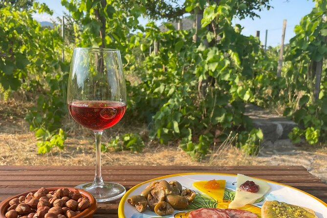 Etna private tour in 4x4 & Sicilian food farm experience - Lava fields and side craters near 2,000 meters