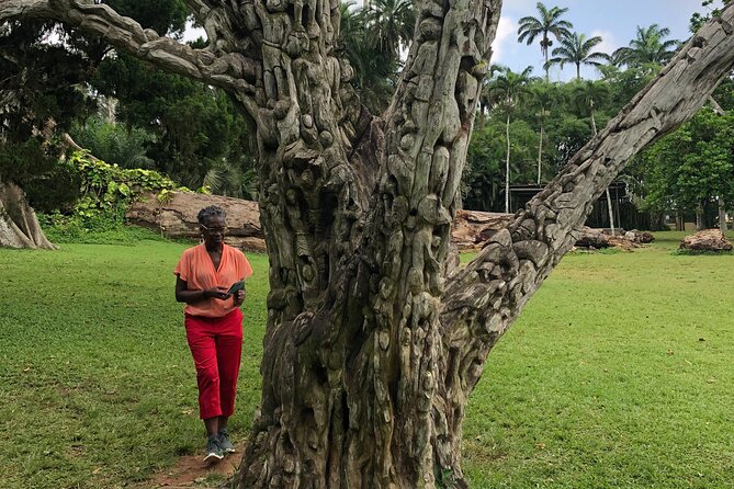 Experience Boti Waterfalls, Aburi Botanical Gardens & Tetteh Quarshie Cocoa Farm - Boti Waterfalls: the day’s real test