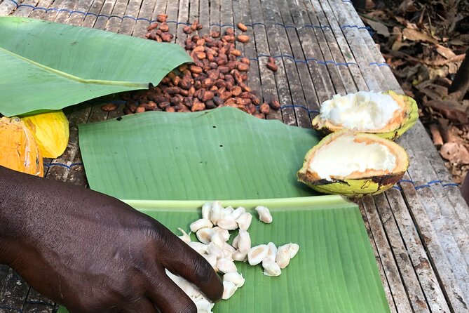 Experience Boti Waterfalls, Aburi Botanical Gardens & Tetteh Quarshie Cocoa Farm - Tetteh Quarshie and the taste of fresh cocoa
