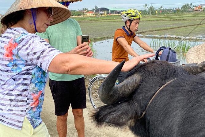 Experience Buffalo Ride and Farmer in Hoi An - Why this short farm visit feels different
