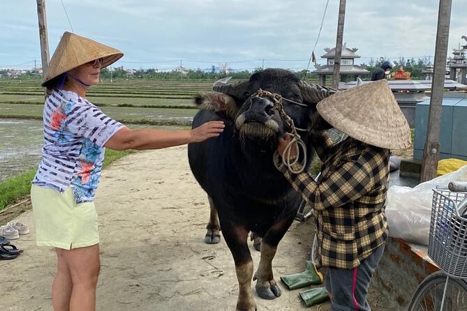 Experience Buffalo Ride and Farmer in Hoi An - What limited English means in practice