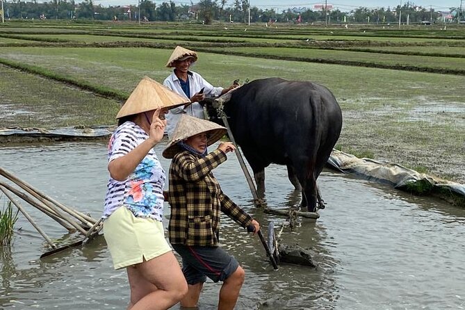 Experience Buffalo Ride and Farmer in Hoi An - Washing up after the field