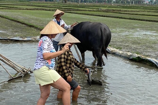 Experience Buffalo Ride and Farmer in Hoi An - Group size, timing, and the $12 value