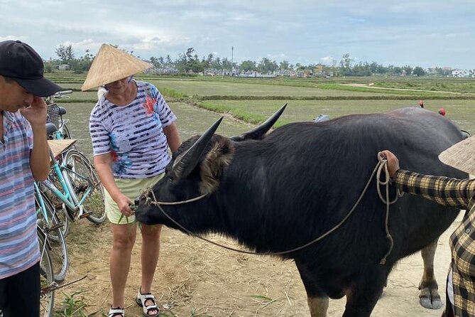 Experience Buffalo Ride and Farmer in Hoi An - Who should book this Cam Thanh experience