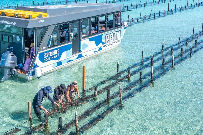 Experience Coffin Bay Oyster Farm and Bay Tour - Key points at a glance