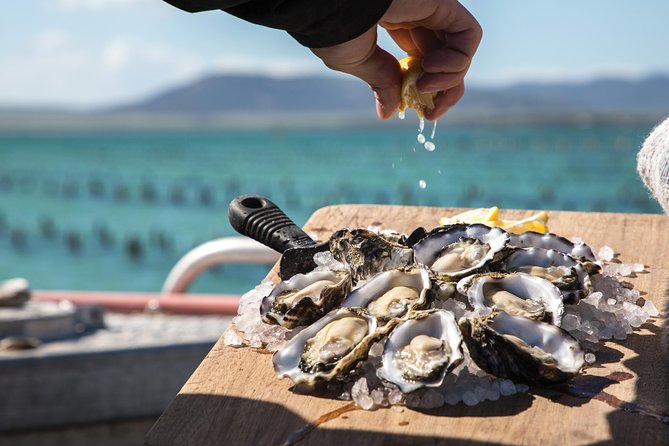 Experience Coffin Bay Oyster Farm and Bay Tour - Brothers Islands and the seal colony
