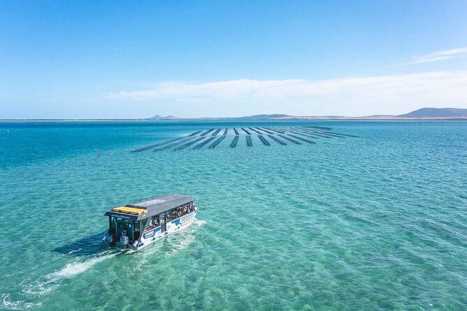 Experience Coffin Bay Oyster Farm and Bay Tour - Is $132.69 good value?