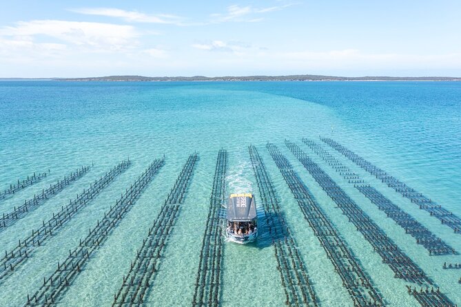 Experience Coffin Bay Oyster Farm and Bay Tour - Who should book this experience?