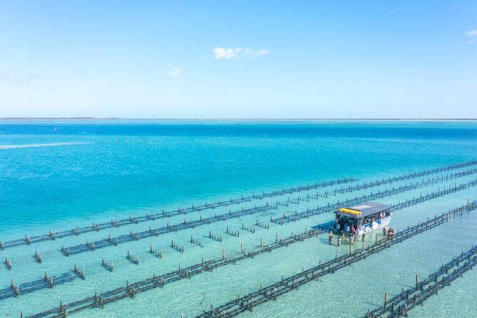 Experience Coffin Bay Oyster Farm and Bay Tour - Practical details before you book