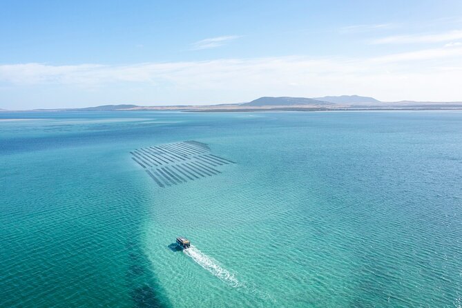 Experience Coffin Bay Oyster Farm and Bay Tour - Meeting the oyster farmers at the lease