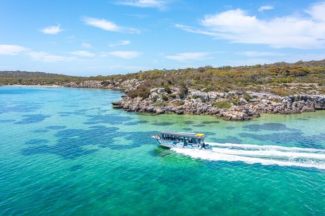 Experience Coffin Bay Short and Sweet Oyster Farm Tour - Key points before you book