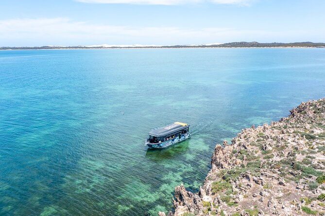 Experience Coffin Bay Short and Sweet Oyster Farm Tour - Six oysters, freshly shucked on the boat