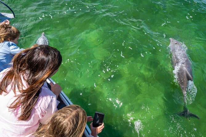 Experience Coffin Bay Short and Sweet Oyster Farm Tour - Angasi reef restoration adds a conservation angle
