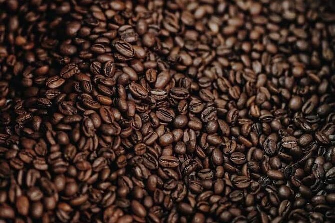 Experience Making specialty coffee in Da Lat City - Tasting five styles without hiding the flavor