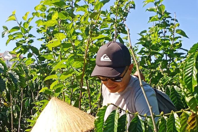Experience Making specialty coffee in Da Lat City - Brewing the final cup with a Vietnamese Phin