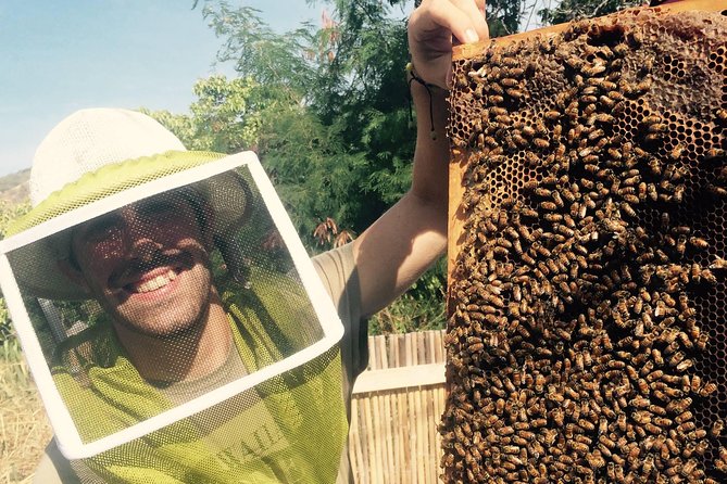 Experience Our Honey Farm And Beekeeping Tour - Meet the beekeeper, not just the bees