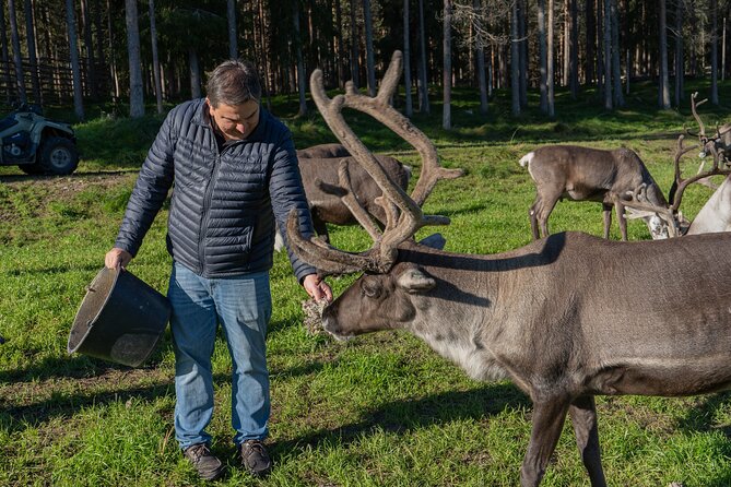 Experience Reindeer Farm and Ranua Wildlife Park in Rovaniemi - The drive to Ranua and the included lunch