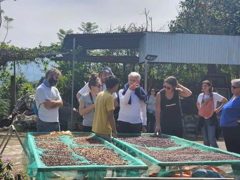 Experience specialty coffee with sustainable coffee farmers - Timing, group size, and who should book