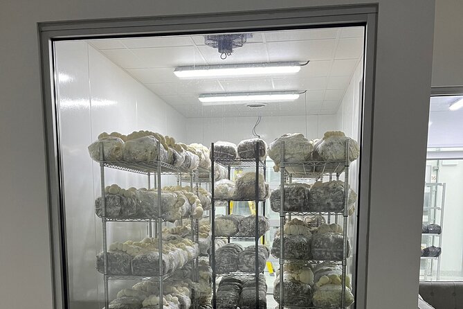 Explore Chicago’s Indoor Mushroom Farm Experience - A working mushroom farm in Chicago
