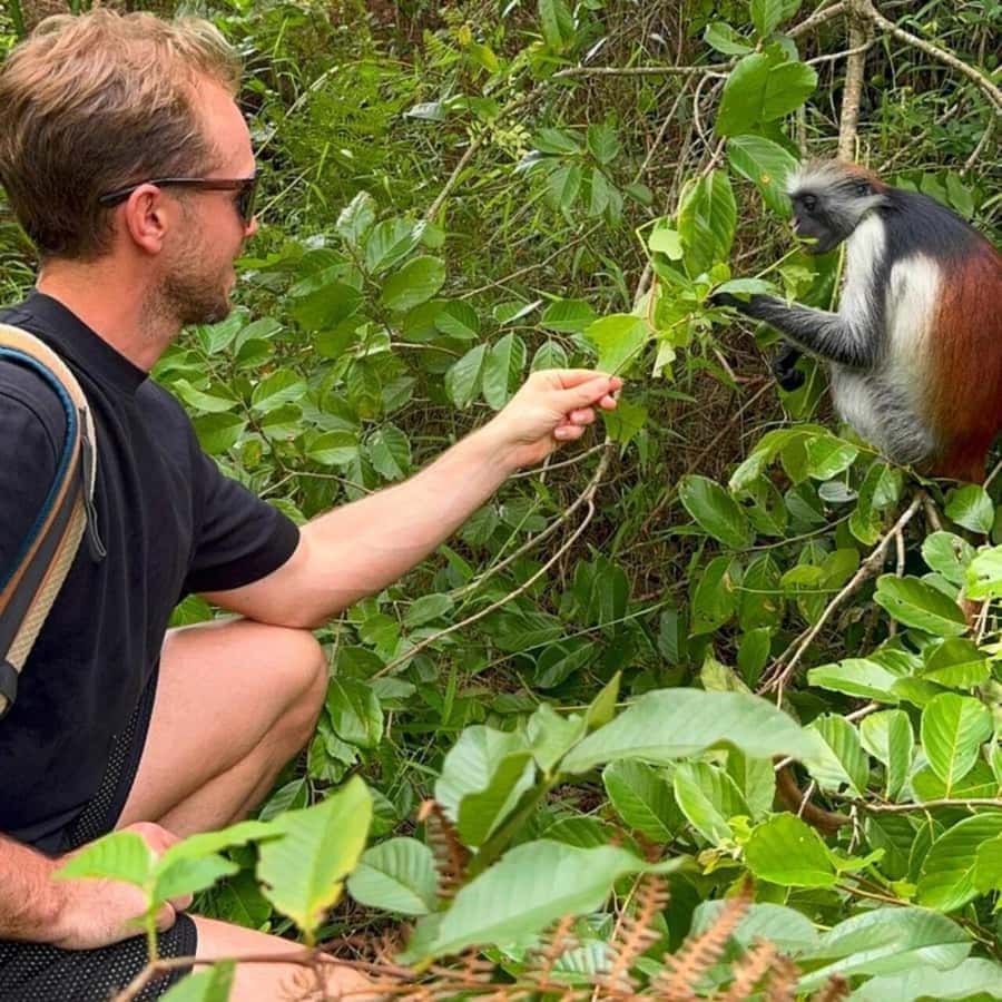 Explore Jozani Forest and Zanzibar Spice Farm - Meeting Zanzibar’s red colobus monkeys