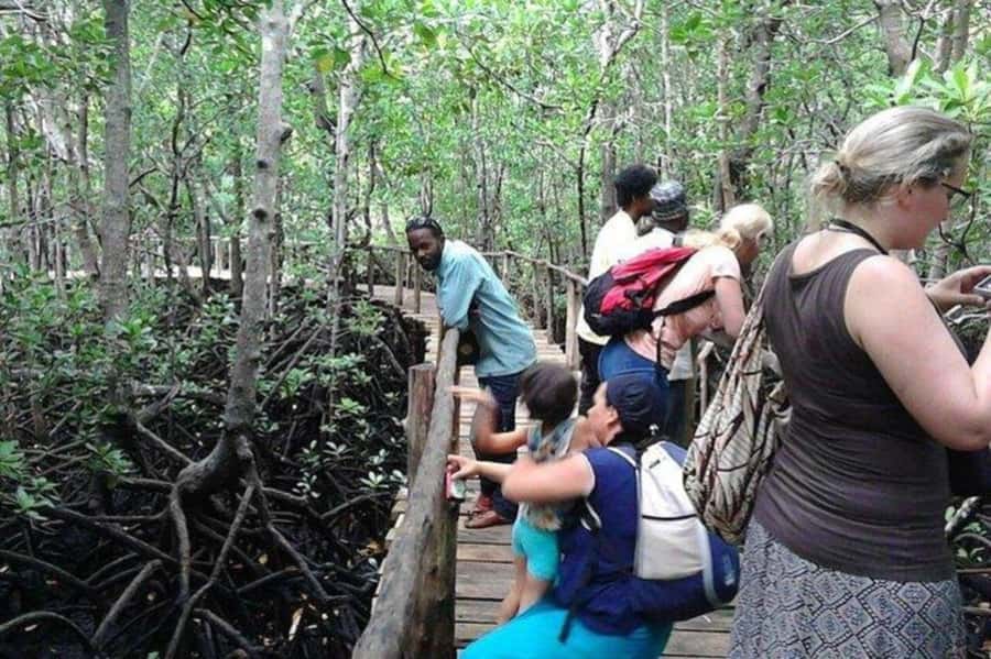 Explore Jozani Forest and Zanzibar Spice Farm - Who will enjoy this day most