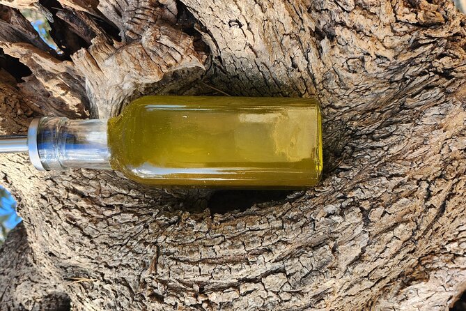 extravirgin olive oil tasting,the story of a farm - Price and what you receive for $61.95