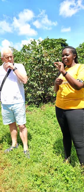 FAIRVIEW COFFEE FARM DAY TOUR - Booking details that can affect your decision