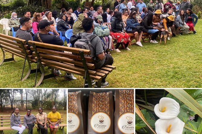 Fairview Estate Coffee Farm Tour With Pick up - Following coffee from picking to production