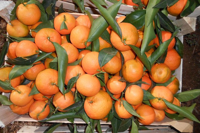 Family Mandarin Farming Tour with Traditional Cooking Lunch - A working orchard instead of another crowded stop