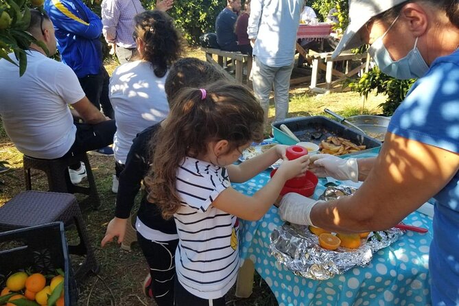 Family Mandarin Farming Tour with Traditional Cooking Lunch - How much value do you get for $52.98?