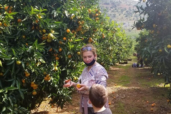Family Mandarin Farming Tour with Traditional Cooking Lunch - Is it suitable for children and older family members?